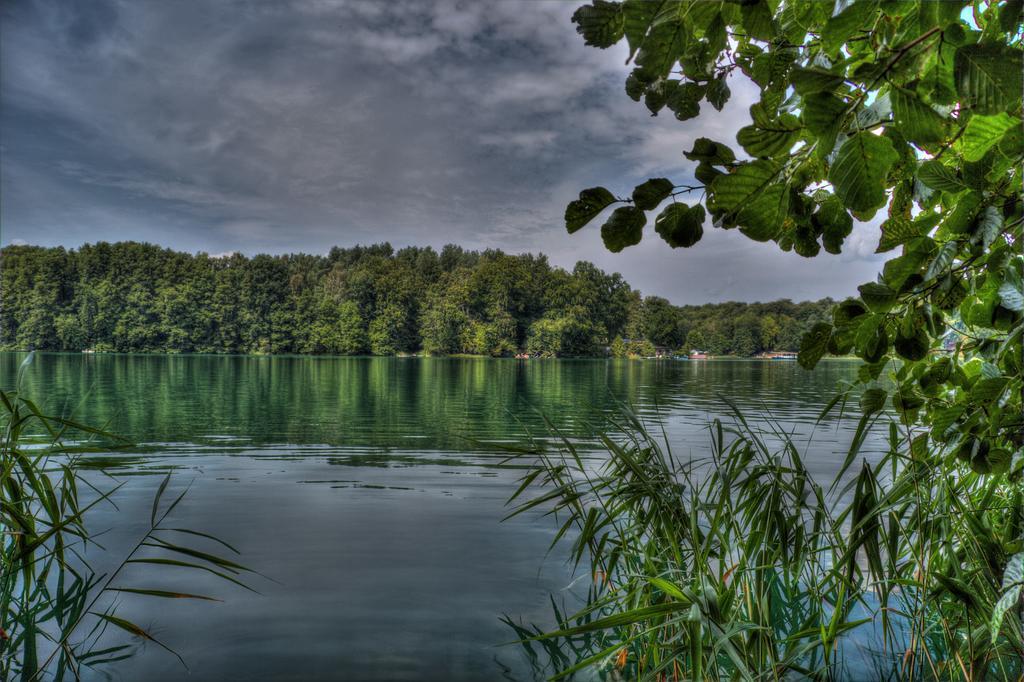 Hotel Am Liepnitzsee Wandlitz Extérieur photo